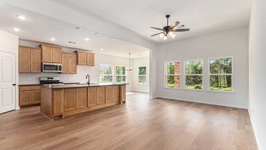 Willis 1-story, 4-bed 9743 Rambling Rose-idx