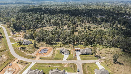 Willis 1-story, 4-bed 9743 Rambling Rose-idx