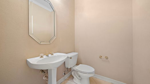 Houston 2-story, 4-bed 13411 Amber Queen Lane-idx