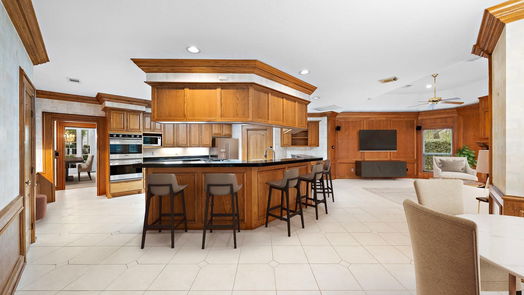 Houston 2-story, 4-bed 13411 Amber Queen Lane-idx