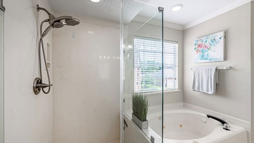Houston 2-story, 4-bed 13106 Tropicana Drive-idx
