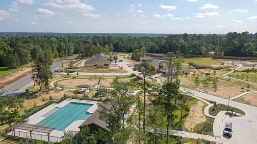 Conroe 2-story, 4-bed 2316 Cavefish Court-idx