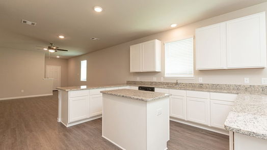 Conroe 2-story, 4-bed 13508 Bowfin Drive-idx