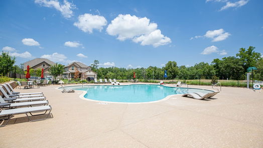 Conroe 2-story, 4-bed 2807 Jacqueline Lane-idx