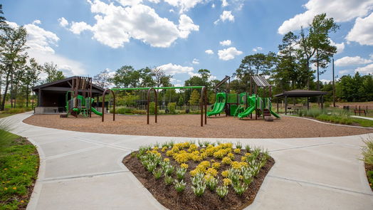 Conroe 1-story, 3-bed 2321 Cavefish Court-idx