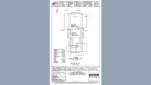 Conroe 2-story, 4-bed 16828 Bristle Cone Way-idx