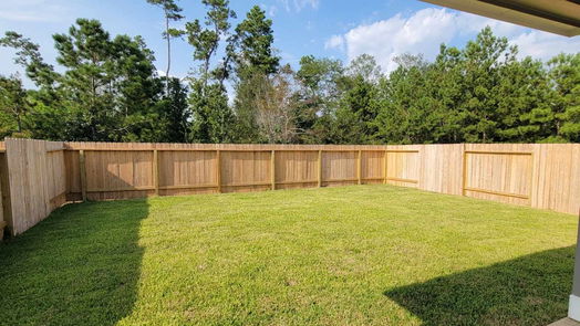 Conroe 2-story, 4-bed 2316 Cavefish Court-idx