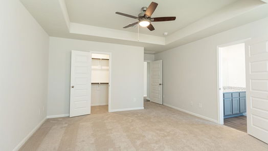 Conroe null-story, 3-bed 2408 Cave Fish Drive-idx