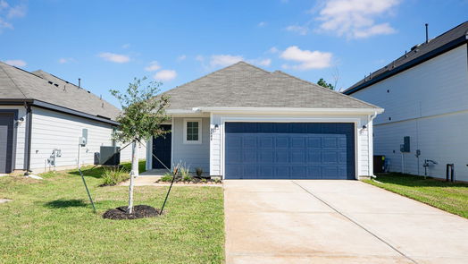 Conroe null-story, 3-bed 2408 Cave Fish Drive-idx