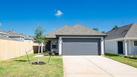 Conroe null-story, 3-bed 2412 Cave Fish Drive-idx