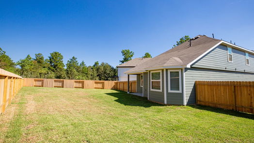 Conroe 2-story, 4-bed 13823 Blue Catfish Drive-idx