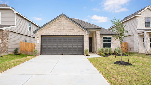 Conroe null-story, 4-bed 16823 Bristle Cone Way-idx