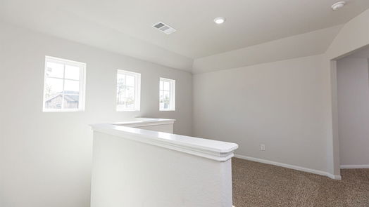 Conroe 2-story, 4-bed 16949 Hazelnut Drive-idx