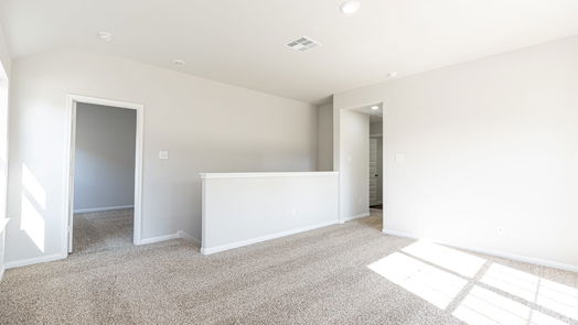 Conroe 2-story, 4-bed 16953 Hazelnut Drive-idx