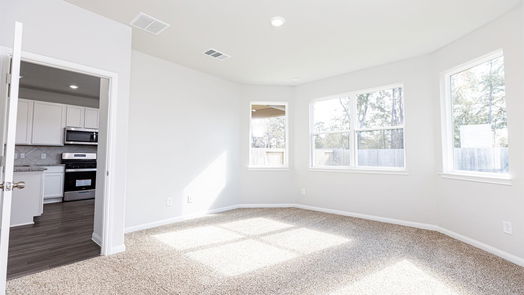 Conroe 2-story, 4-bed 16956 Hazelnut Drive-idx