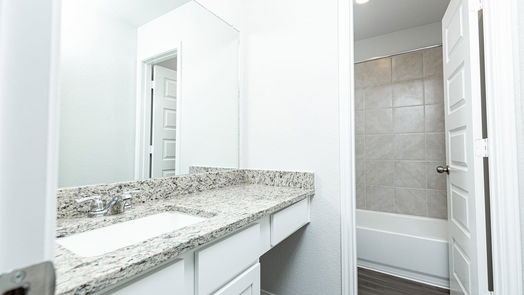 Conroe 1-story, 3-bed 2321 Green Sturgeon Court-idx
