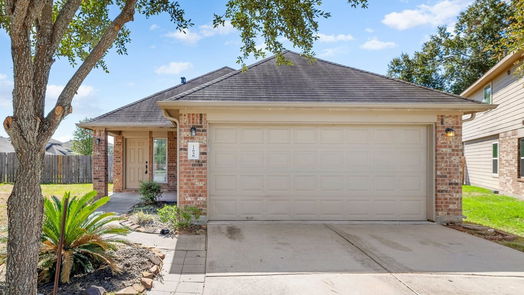 Houston 1-story, 4-bed 11858 Red Hummingbird Drive-idx