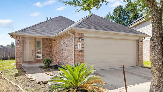 Houston 1-story, 4-bed 11858 Red Hummingbird Drive-idx