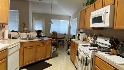 Houston 1-story, 3-bed 17014 Sereniah Circle-idx