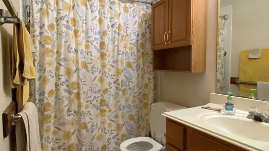 Houston 1-story, 3-bed 17014 Sereniah Circle-idx