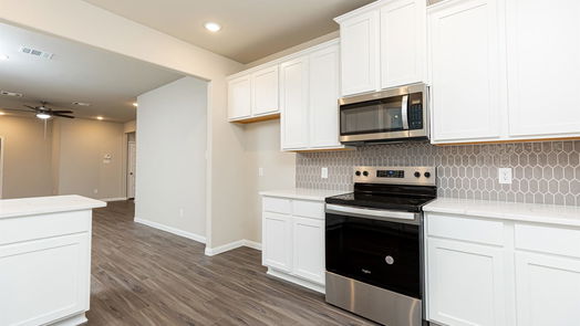Montgomery 2-story, 4-bed 4325 Windswept Drive-idx