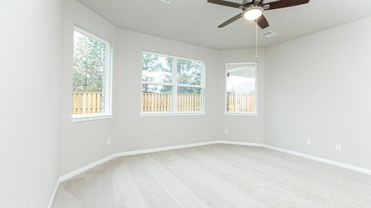 Montgomery 2-story, 4-bed 4325 Windswept Drive-idx