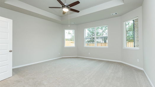 Montgomery 2-story, 4-bed 4329 Windswept Drive-idx