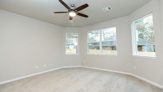 Montgomery 2-story, 4-bed 13418 Raintree Drive-idx