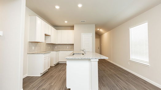 Rosharon null-story, 3-bed 5131 Cannon Christopher Drive-idx