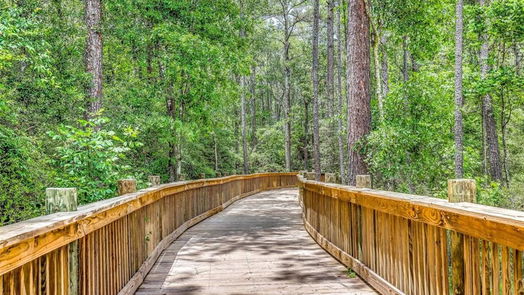 Conroe 2-story, 4-bed 1538 San Sebastien Drive-idx