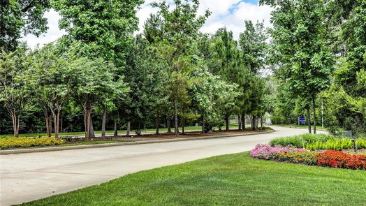Conroe 1-story, 4-bed 3115 Stonebriar Drive-idx