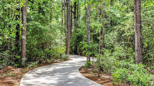 Conroe 1-story, 4-bed 3115 Stonebriar Drive-idx