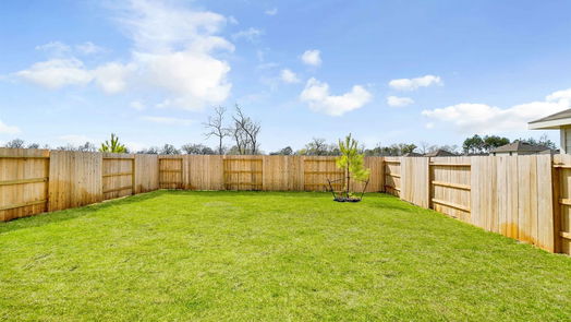 Conroe 2-story, 4-bed 1460 Las Cuevas Dr-idx