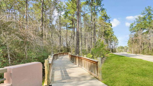 Conroe 2-story, 4-bed 1460 Las Cuevas Dr-idx