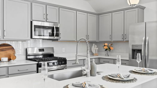 Conroe null-story, 4-bed 3128 Catalonion Court-idx