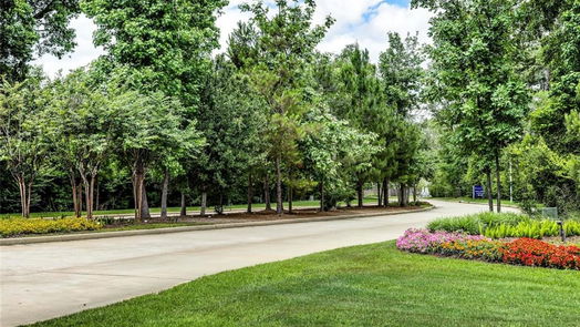 Conroe 1-story, 4-bed 3084 Twisted Myrtle Drive-idx