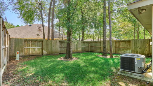 Conroe 2-story, 3-bed 3 Darlinghurst Drive-idx