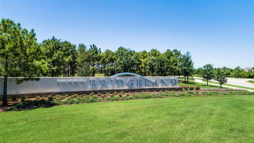 Cypress 2-story, 4-bed 11266 Rosita Patch Drive-idx