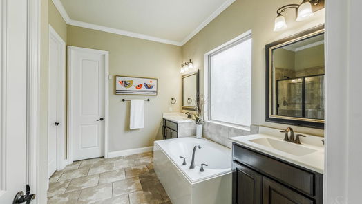 Fulshear 2-story, 3-bed 4930 Scenic Horizon Lane-idx
