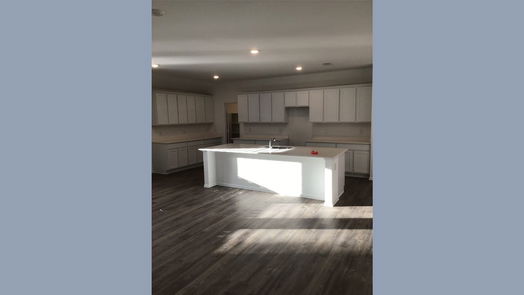 Hockley 1-story, 4-bed 31627 Silverthorne Bush Drive-idx