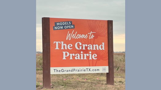 Hockley null-story, 4-bed 16622 Texas Palmetto Way-idx