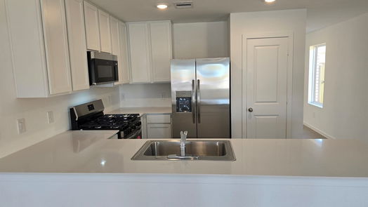 Hockley null-story, 4-bed 28810 Texas Plains Drive-idx