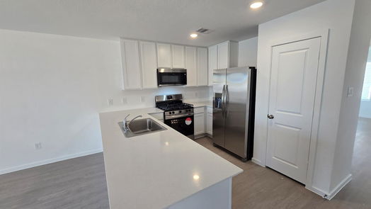 Hockley null-story, 4-bed 28810 Texas Plains Drive-idx