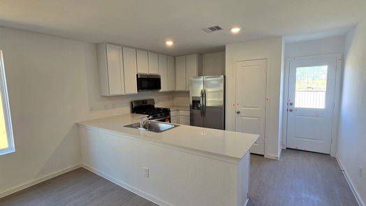 Hockley null-story, 3-bed 28947 Great Canyon Drive-idx