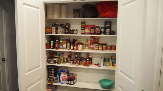 La Marque 1-story, 4-bed 421 Ridgewood Terrace Drive-idx