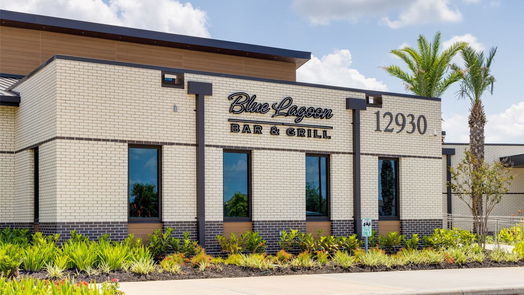 League City 2-story, 4-bed 2219 Still Bend Lane-idx