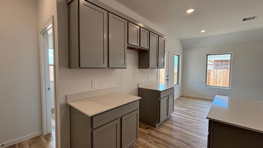 Magnolia 1-story, 3-bed 603 Spring Ashberry Court-idx
