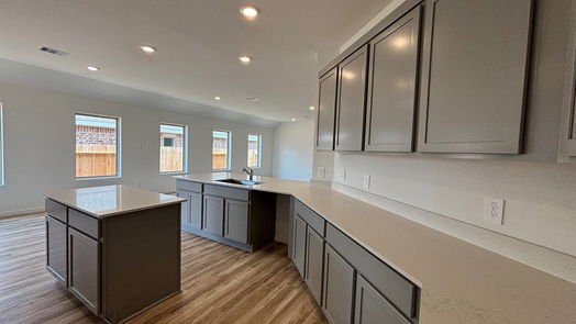 Magnolia 1-story, 3-bed 603 Spring Ashberry Court-idx