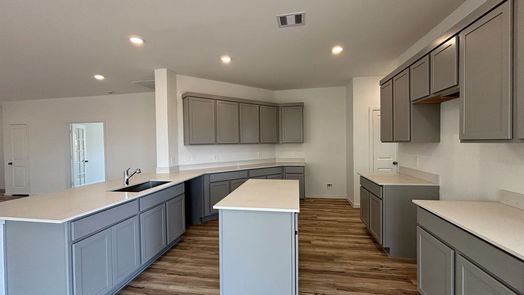 Magnolia 1-story, 3-bed 603 Spring Ashberry Court-idx