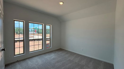 Magnolia 1-story, 3-bed 603 Spring Ashberry Court-idx
